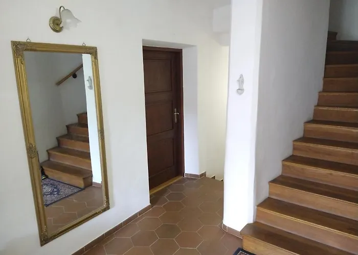 špuntárna