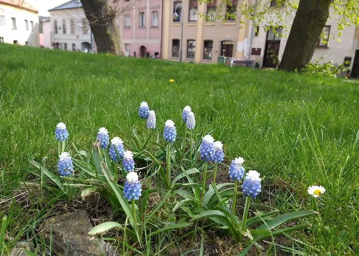 Apartamento špuntárna *